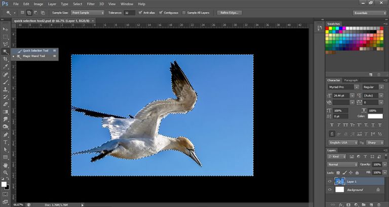 adobe photoshop quick selection tool download